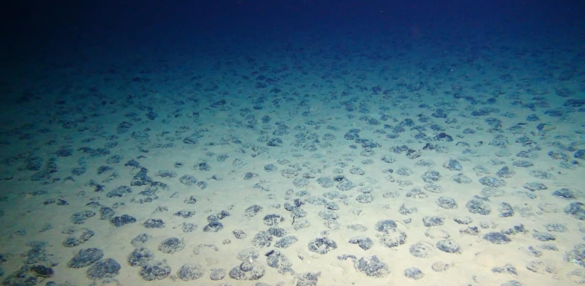 (03-04-23)Deepseamining
